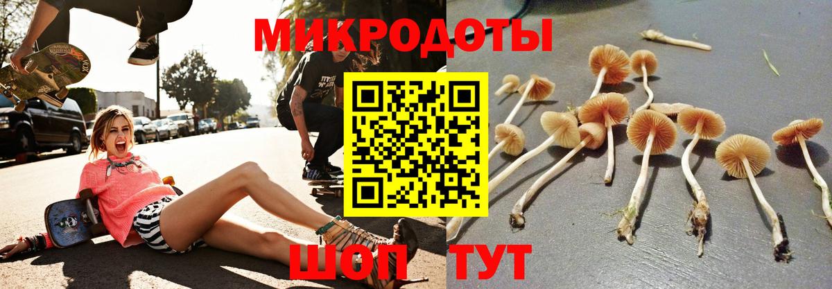 Псилоцибиновые грибы мухоморы  Псилоцибиновые грибы прущие грибы  Сланцы  Вход с VPN 