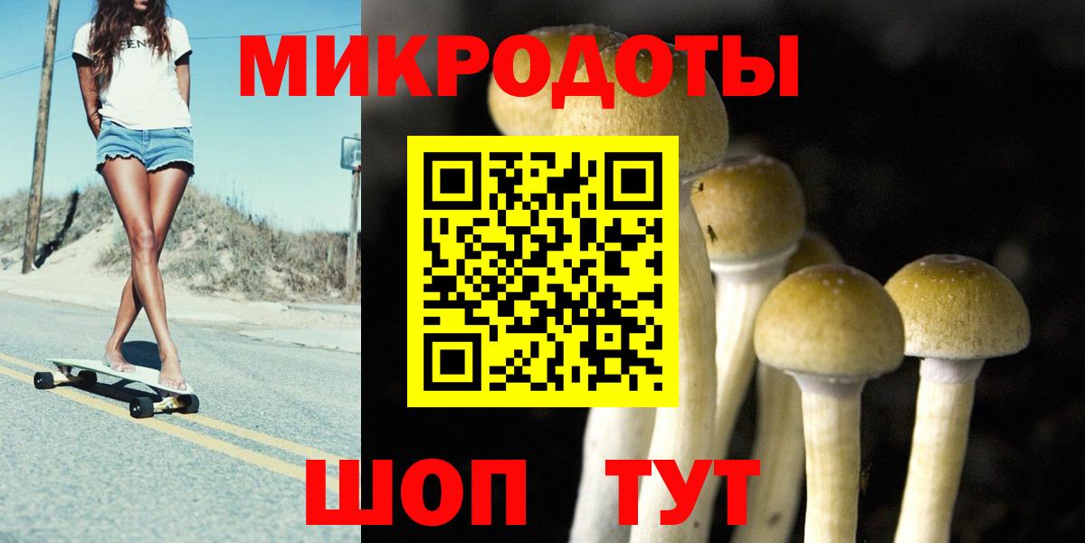 Псилоцибиновые грибы GOLDEN TEACHER Сланцы